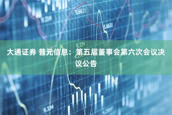 大通证券 普元信息：第五届董事会第六次会议决议公告